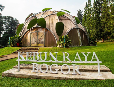 rekomendasi-wisata-puncak-bogor