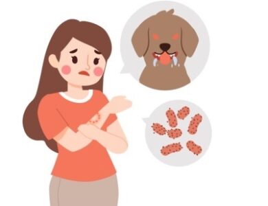 tips-mencegah-penyakit-rabies