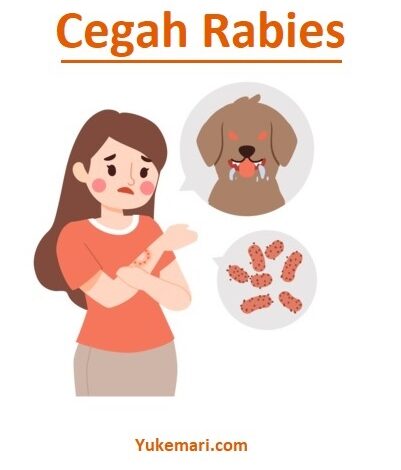 tips-mencegah-penyakit-rabies